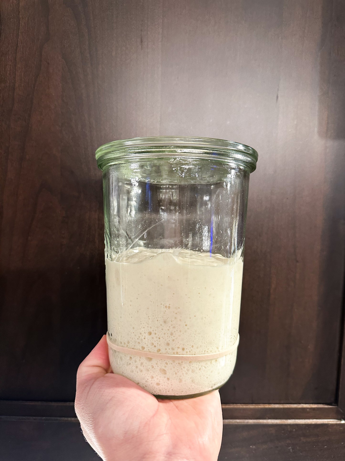 Rising Grace Baking Sourdough Starter