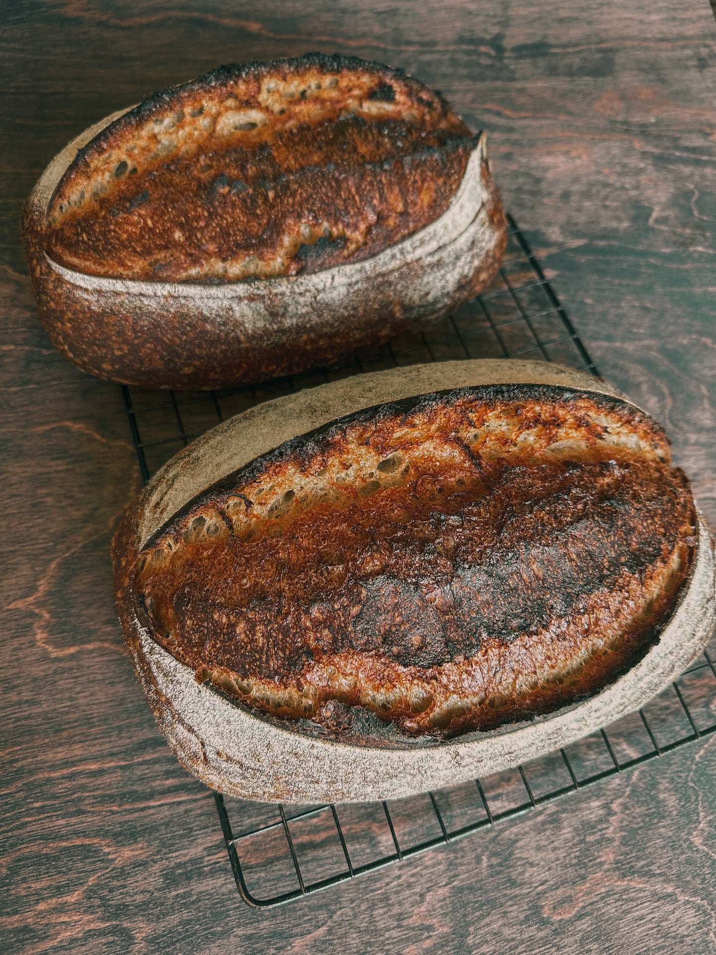 Country Sourdough Loaf (Whole Wheat & Rye)