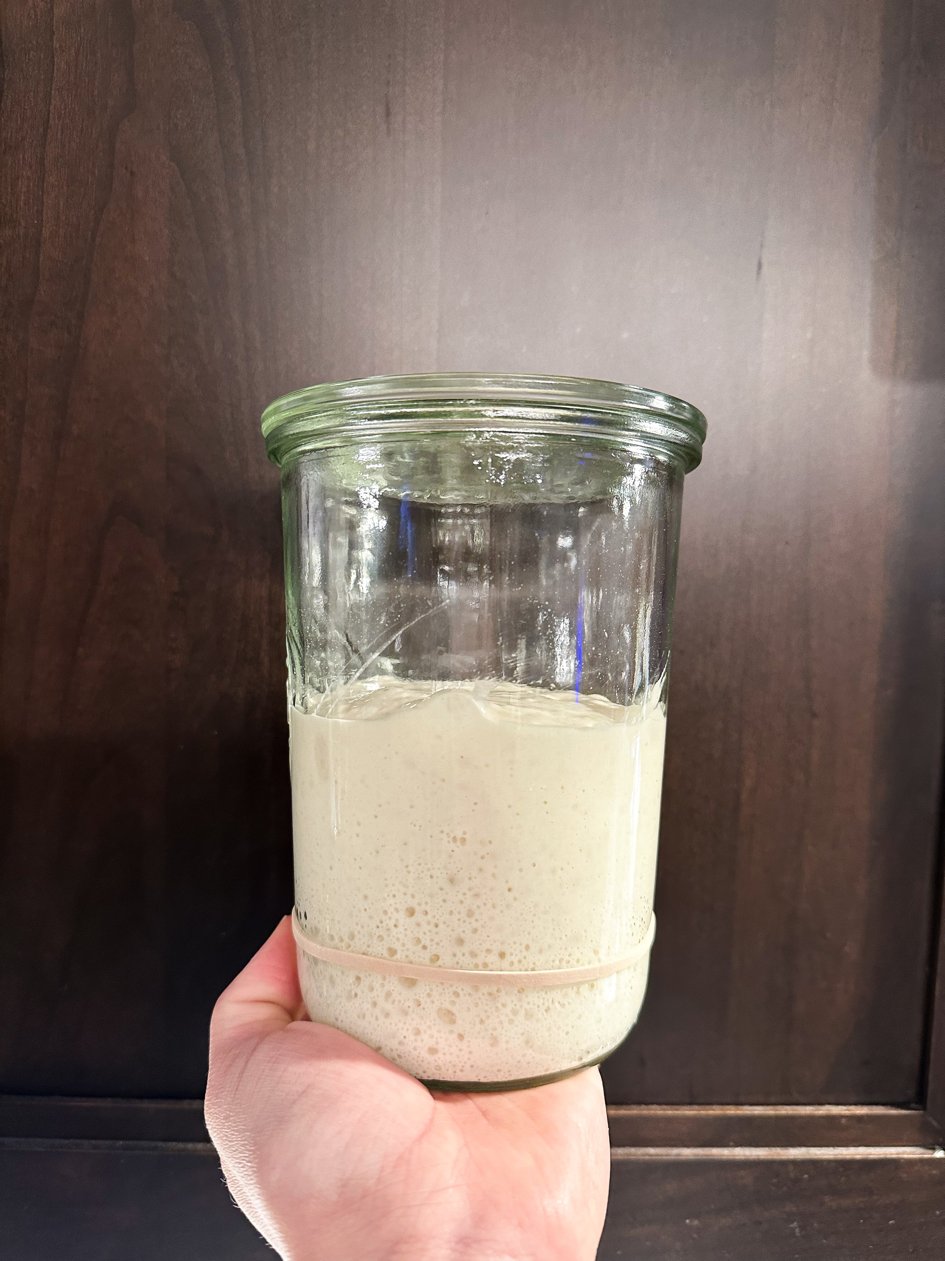 Rising Grace Baking Sourdough Starter